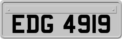 EDG4919