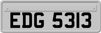 EDG5313