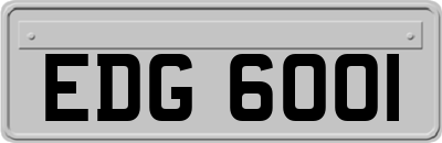 EDG6001