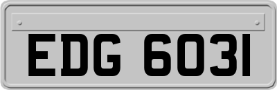 EDG6031