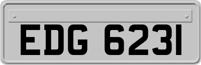 EDG6231