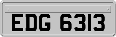 EDG6313