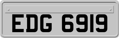 EDG6919