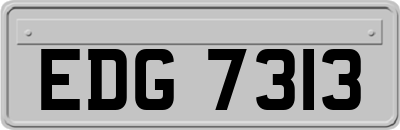 EDG7313