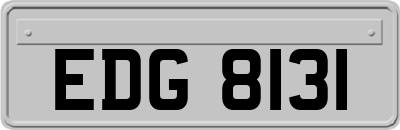 EDG8131