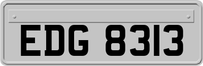 EDG8313