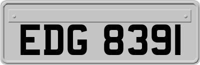 EDG8391
