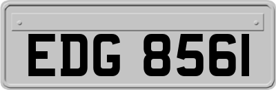 EDG8561
