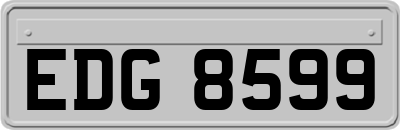 EDG8599