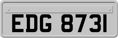 EDG8731