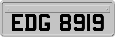 EDG8919
