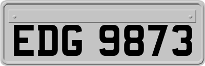 EDG9873