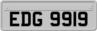 EDG9919