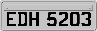 EDH5203