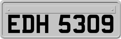EDH5309