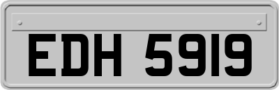 EDH5919