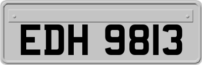 EDH9813
