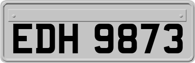 EDH9873