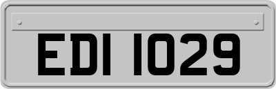 EDI1029