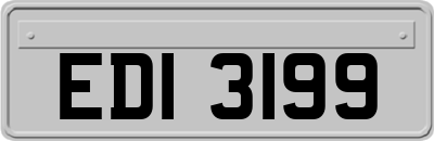 EDI3199