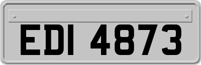 EDI4873
