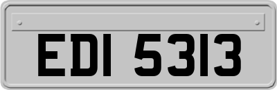 EDI5313