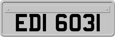 EDI6031