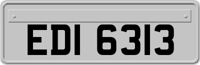 EDI6313