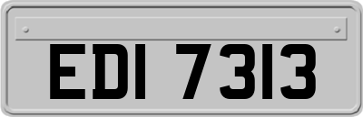 EDI7313