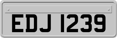 EDJ1239