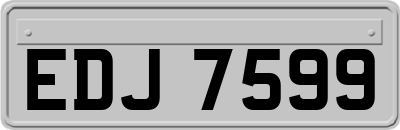 EDJ7599
