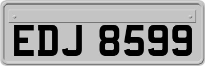 EDJ8599