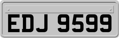 EDJ9599