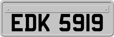 EDK5919