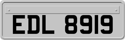 EDL8919