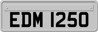 EDM1250