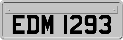 EDM1293
