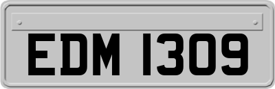 EDM1309