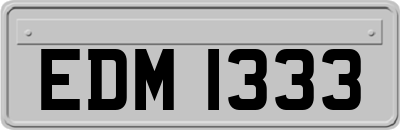 EDM1333