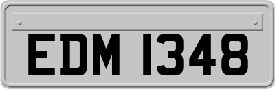 EDM1348