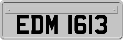 EDM1613