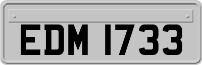 EDM1733
