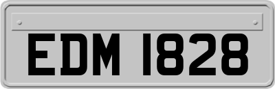 EDM1828