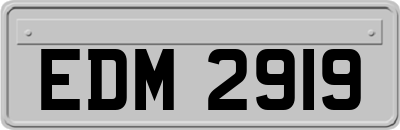 EDM2919