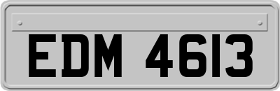 EDM4613
