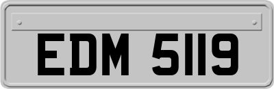 EDM5119