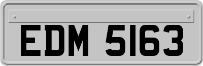 EDM5163