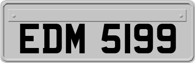 EDM5199