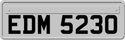 EDM5230