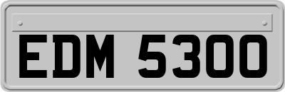 EDM5300